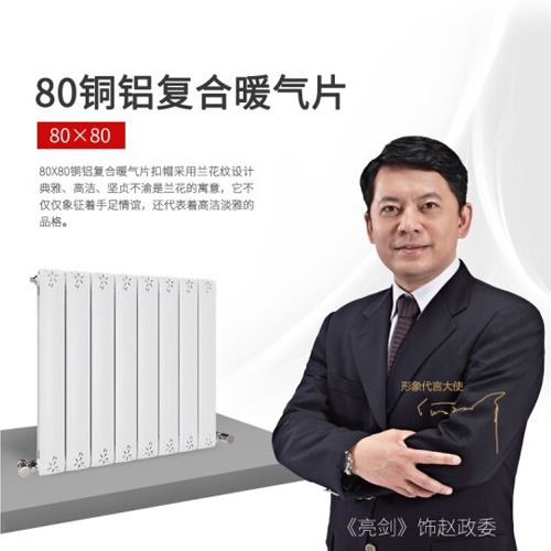 銅鋁復(fù)合80×80A散熱器